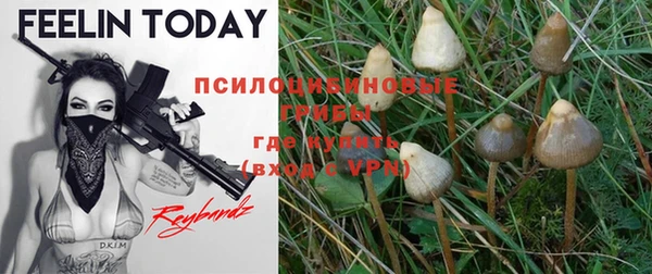 мдпв Балабаново