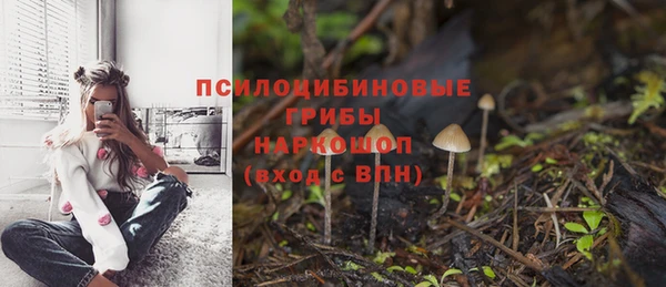 мдпв Балабаново